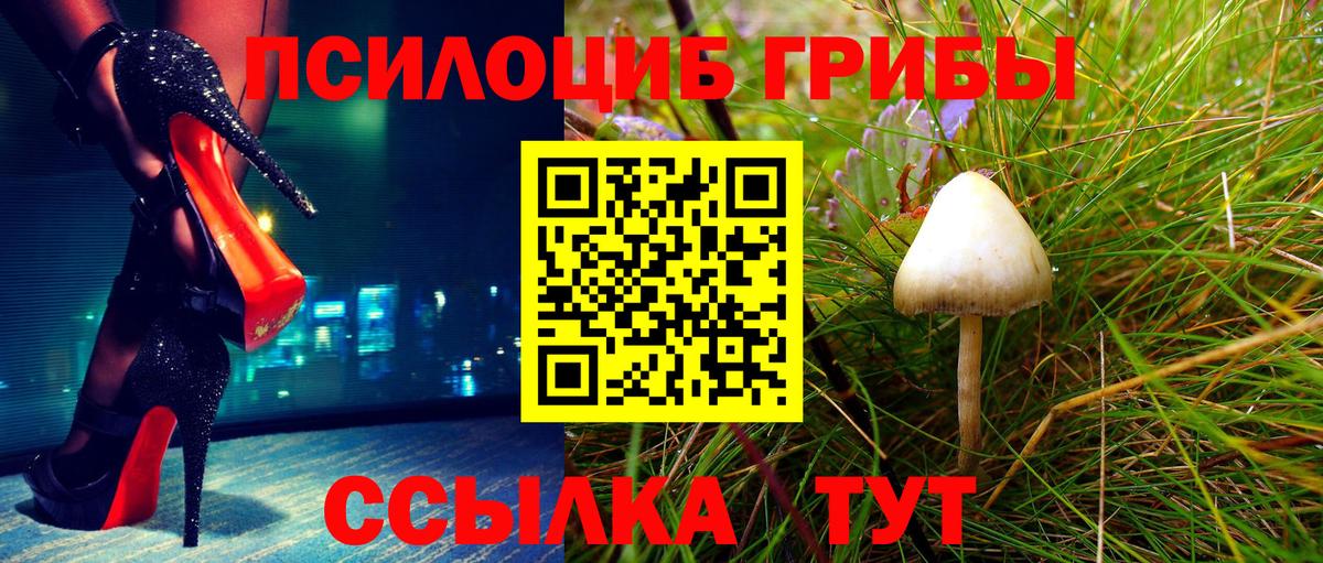 Галлюциногенные грибы MAGIC MUSHROOMS  Галлюциногенные грибы мицелий  Вход с VPN  Карталы 